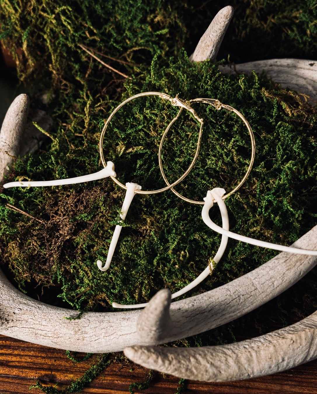 Snake Hoop