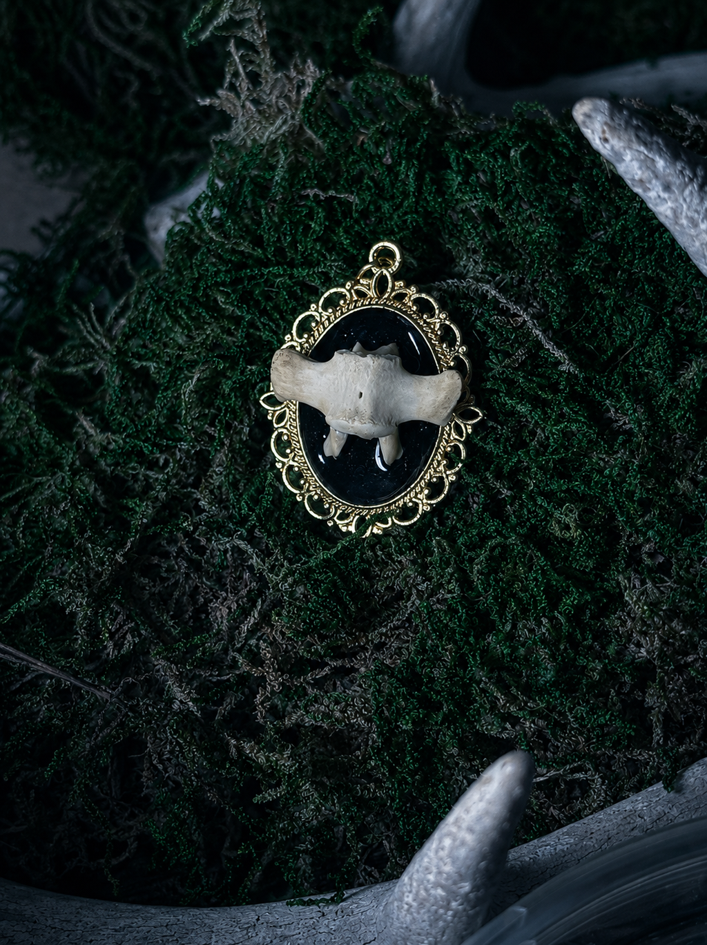 Raccoon Vertebrae Pendant
