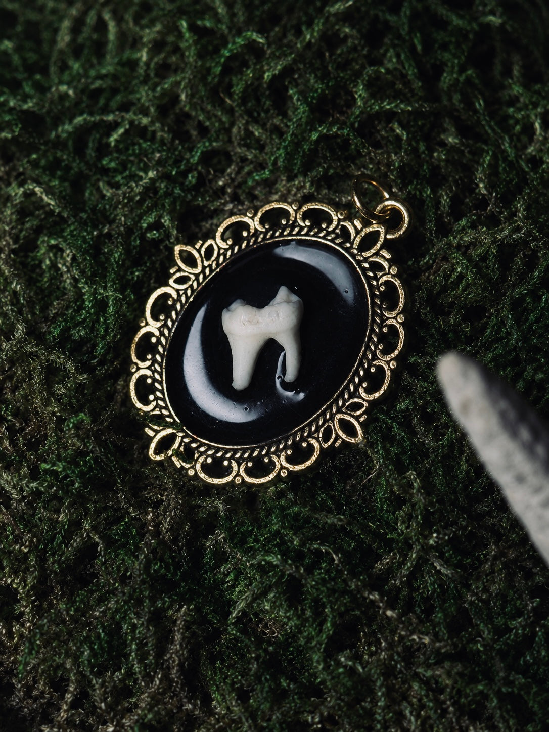 Racoon Tooth Pendant