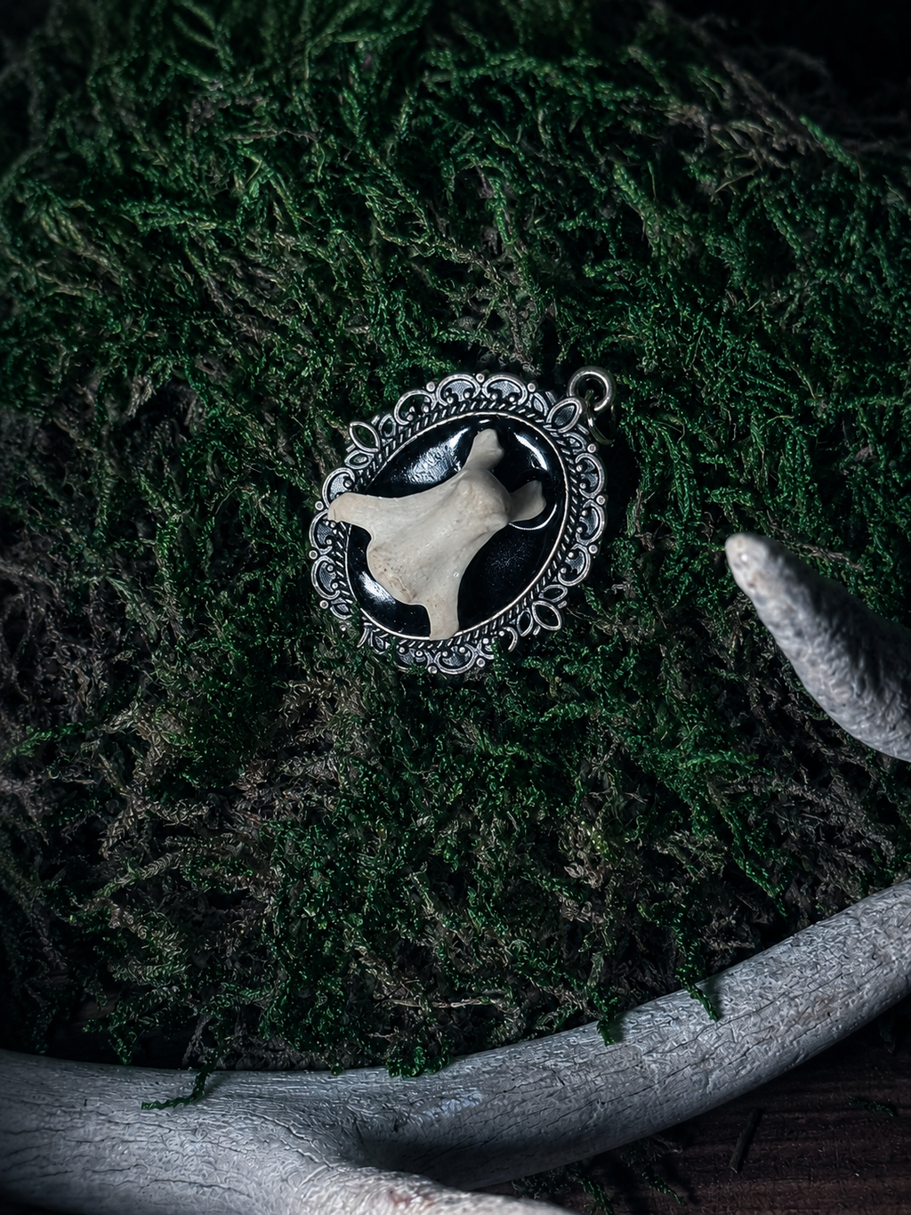 Raccoon Vertebrae Pendant