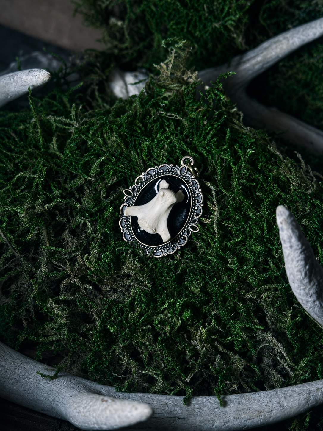 Raccoon Vertebrae Pendant