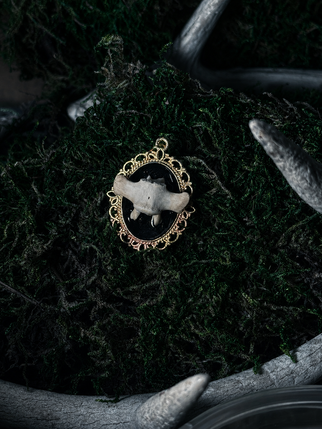 Raccoon Vertebrae Pendant