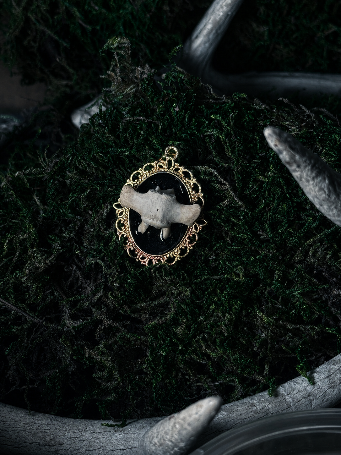 Raccoon Vertebrae Pendant
