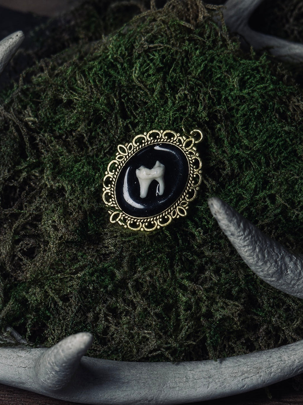 Racoon Tooth Pendant
