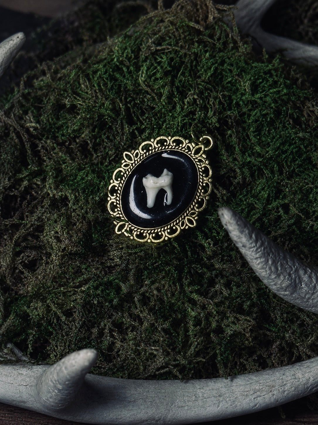Racoon Tooth Pendant