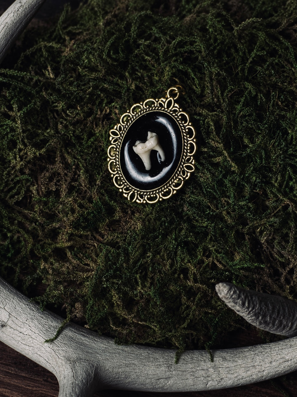 Racoon Tooth Pendant